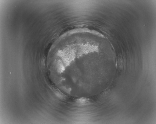 X0000063530375200602102024