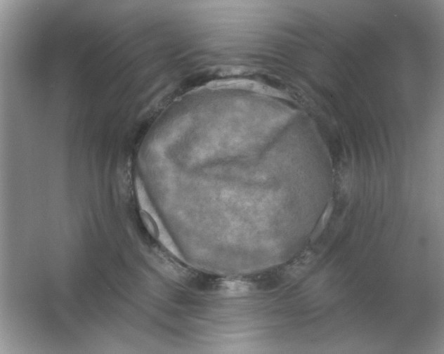 X0000063530376200602102024