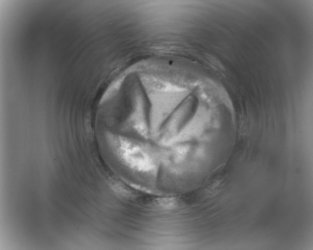 X0000063530377200602102024