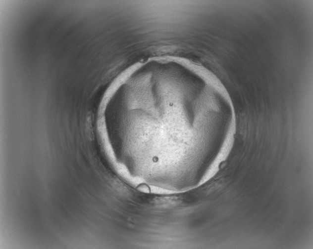 X0000063530378200602102024