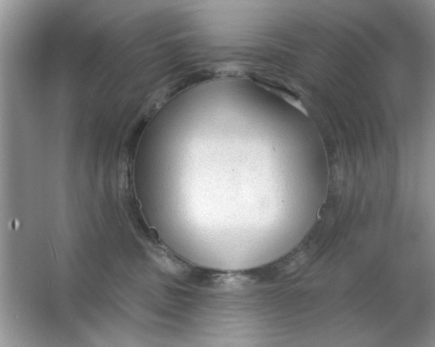 X0000063530379200602102024