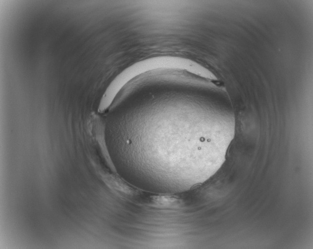 X0000063530380200602102024