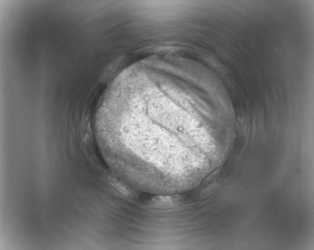 X0000063530381200602102024