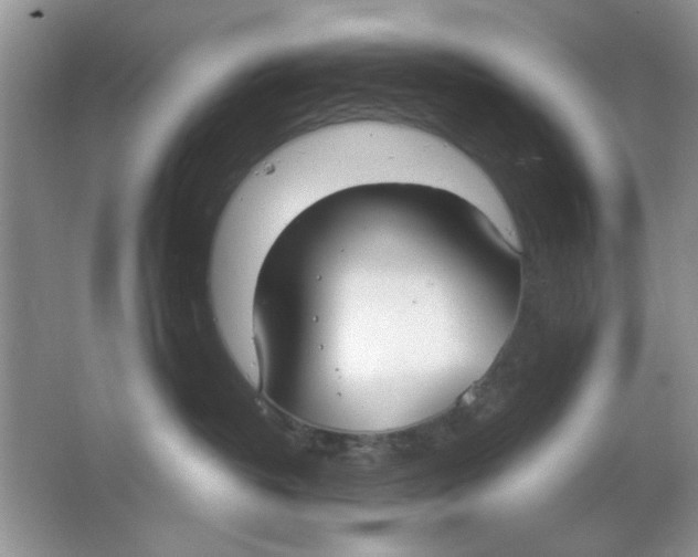 X0000063530382200602102024