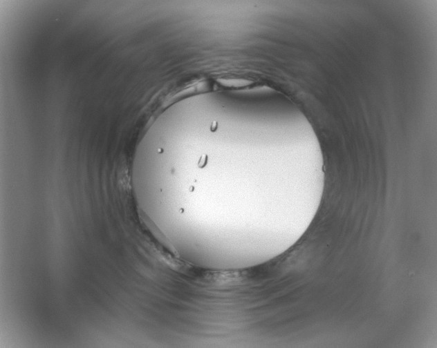 X0000063530384200602102024