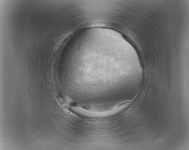 X0000063530385200602102023