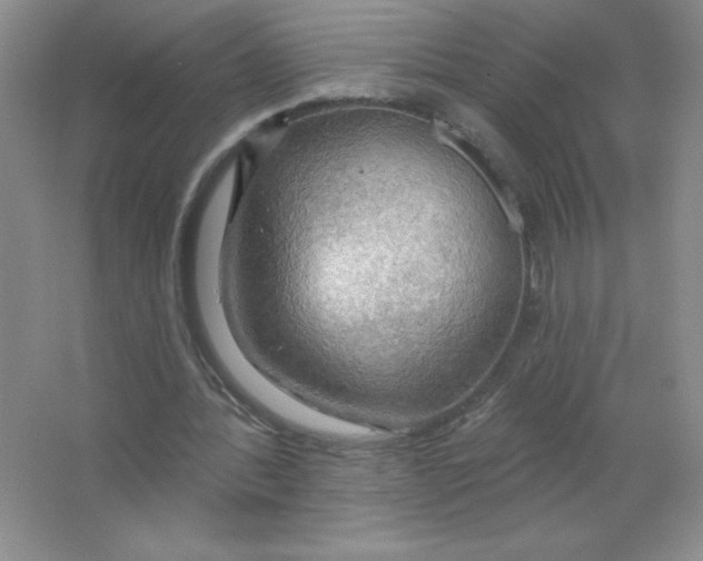 X0000063530388200602102023