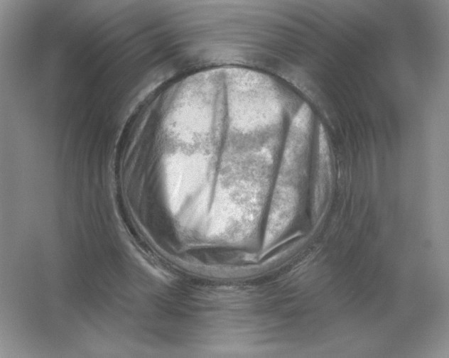 X0000063530390200602102023