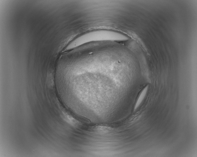 X0000063530393200602102023