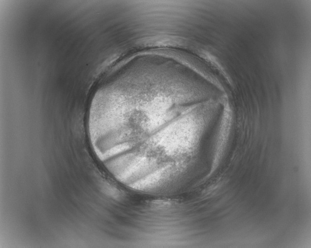 X0000063530394200602102023