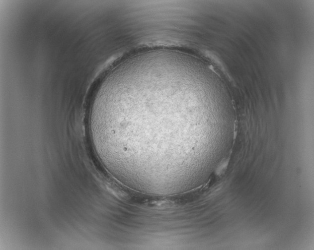 X0000063530395200602102023