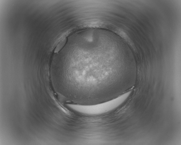 X0000063530397200602102023