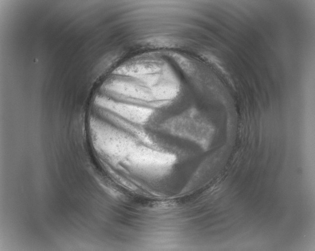 X0000063530398200602102023