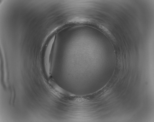 X0000063530399200602102023