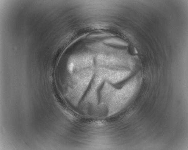 X0000063530402200602102023