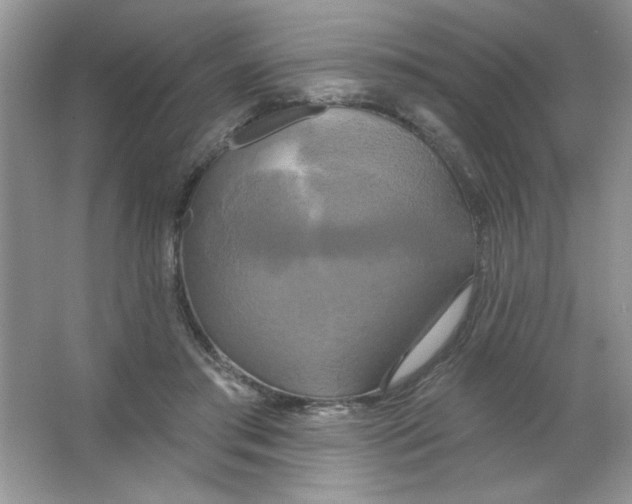 X0000063530405200602102023