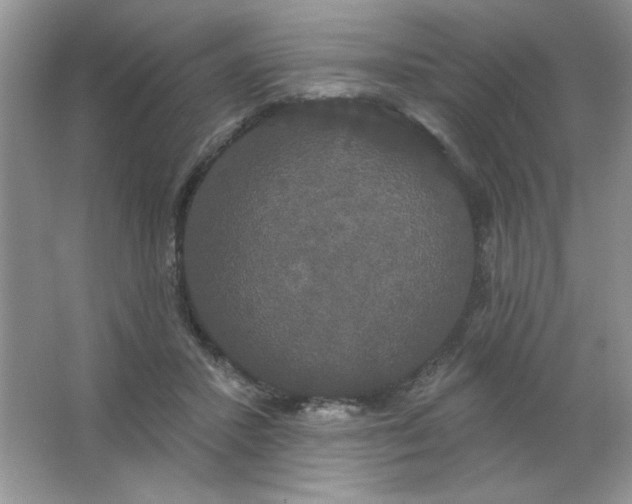 X0000063530407200602102023