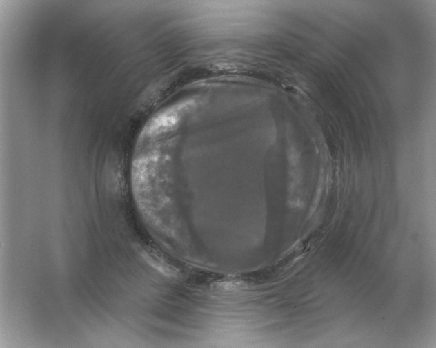 X0000063530408200602102023