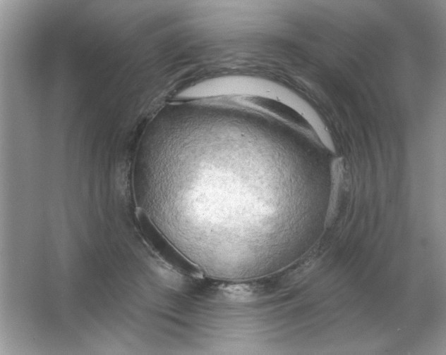 X0000063530409200602102023