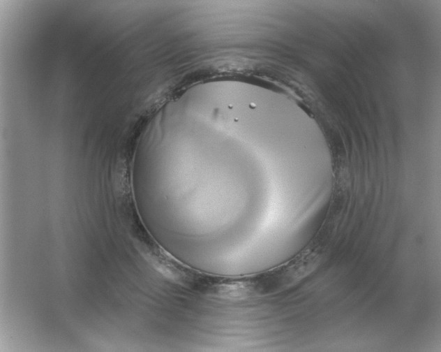 X0000063530411200602102023