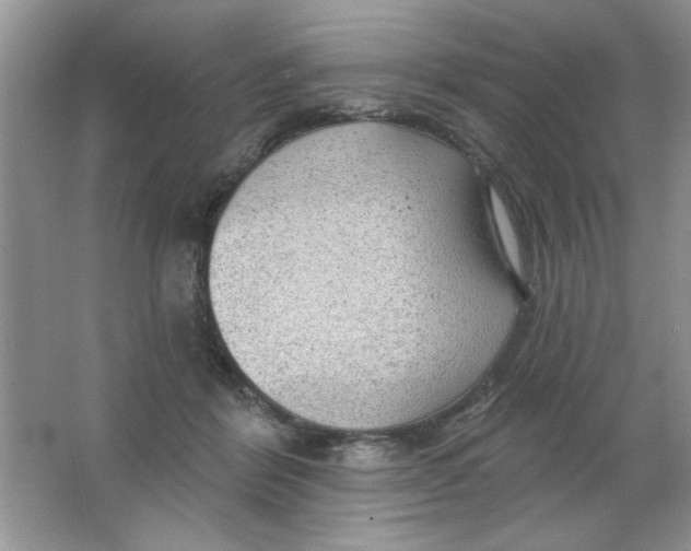 X0000063530412200602102023