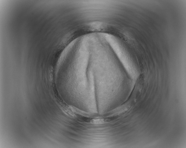 X0000063530413200602102023