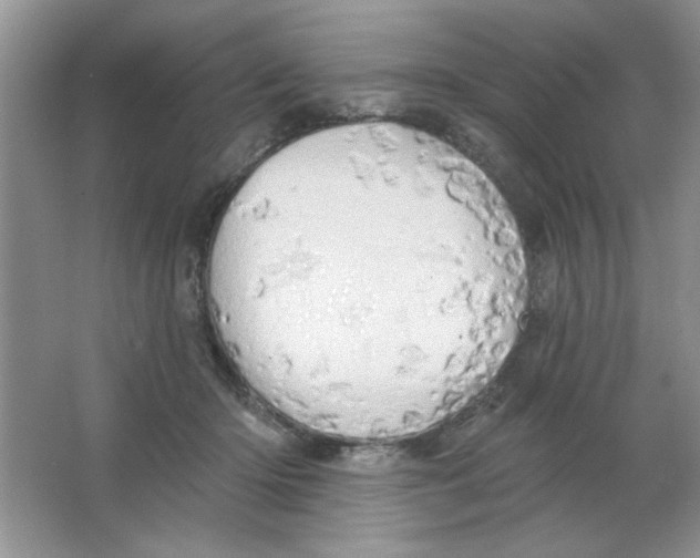 X0000063530414200602102022