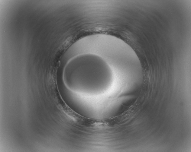 X0000063530415200602102022