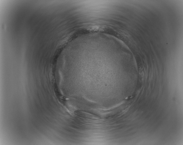 X0000063530416200602102022