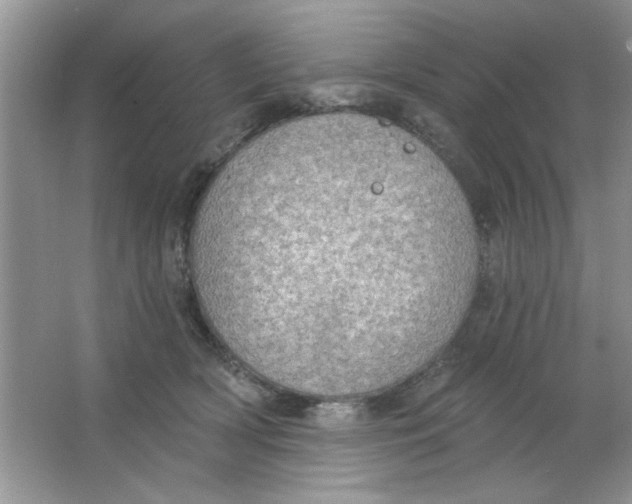 X0000063530418200602102022