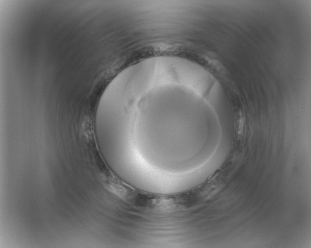 X0000063530419200602102022