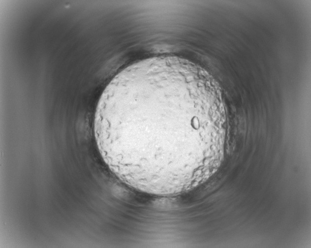 X0000063530422200602102022