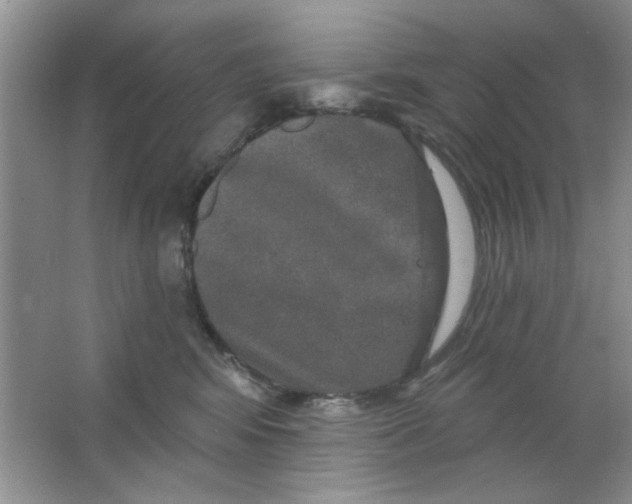 X0000063530424200602102022