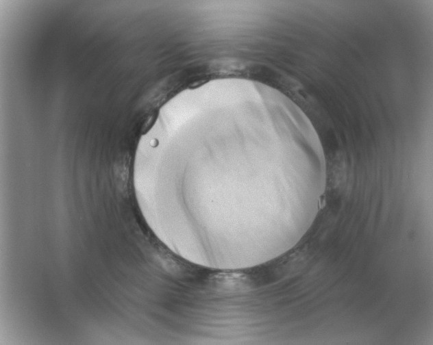 X0000063530427200602102022