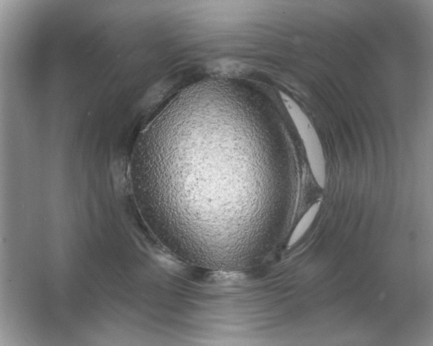 X0000063530429200602102022