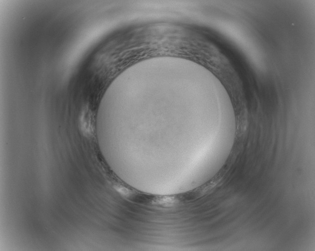 X0000063530431200602102022