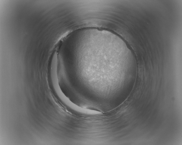 X0000063530434200602102021