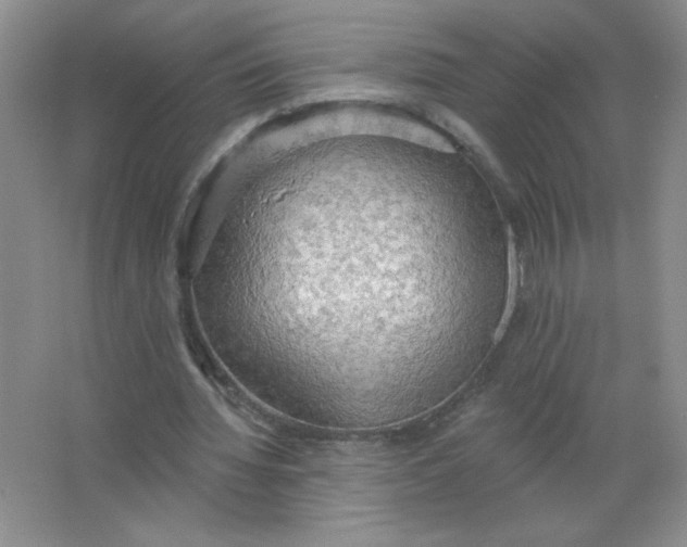 X0000063530436200602102021