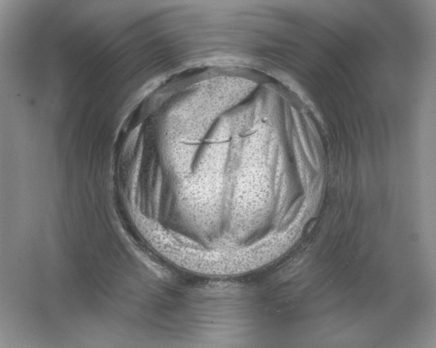 X0000063530437200602102021