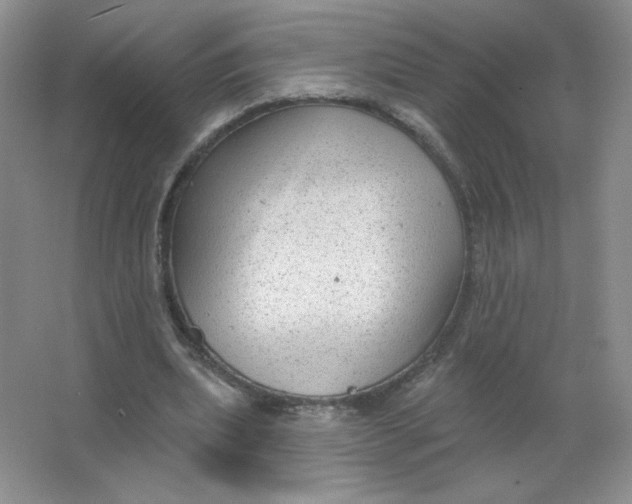 X0000063530439200602102021