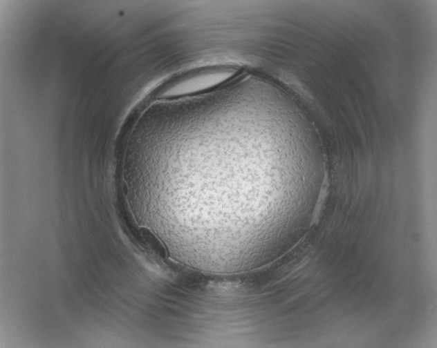 X0000063530440200602102021