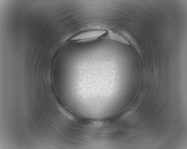 X0000063530441200602102022