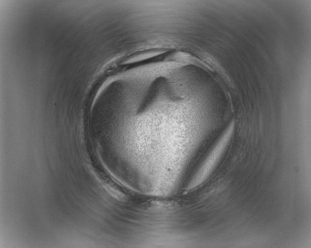 X0000063530442200602102022