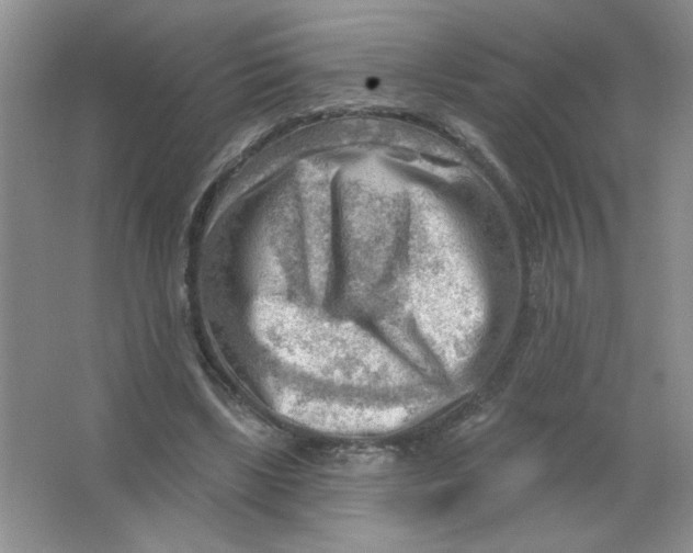 X0000063530443200602102022