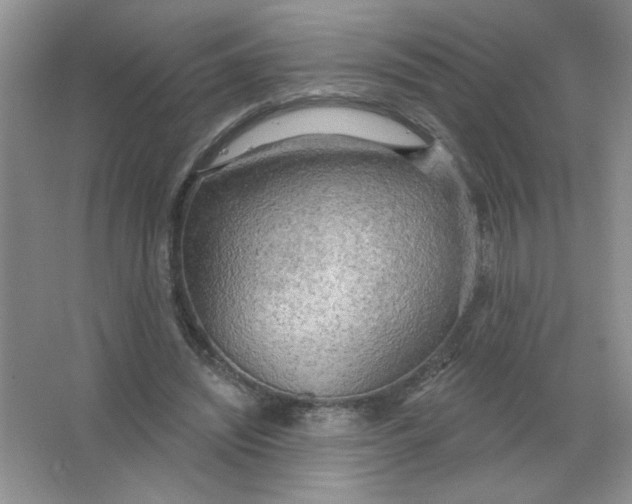 X0000063530444200602102022