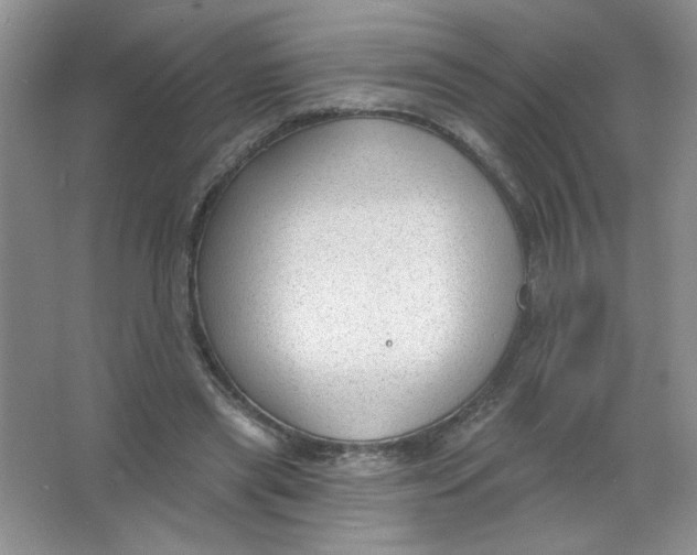 X0000063530445200602102022