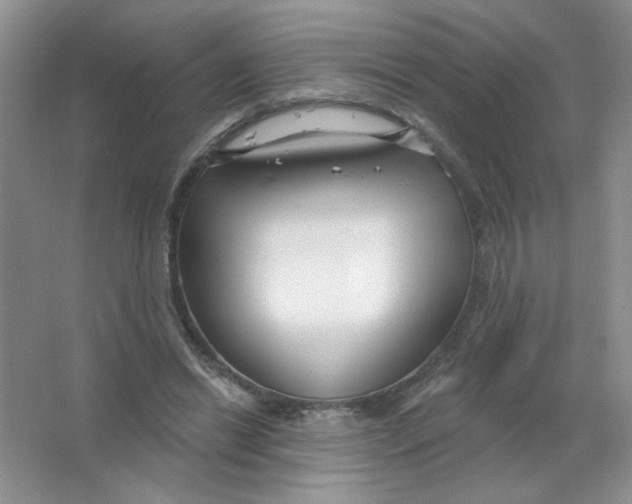 X0000063530446200602102022