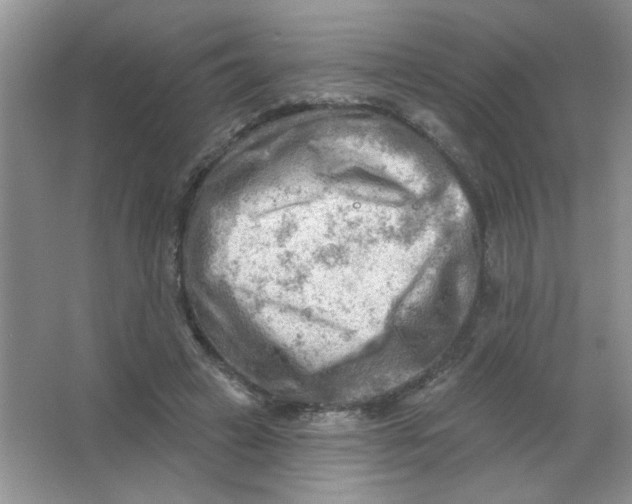 X0000063530449200602102022