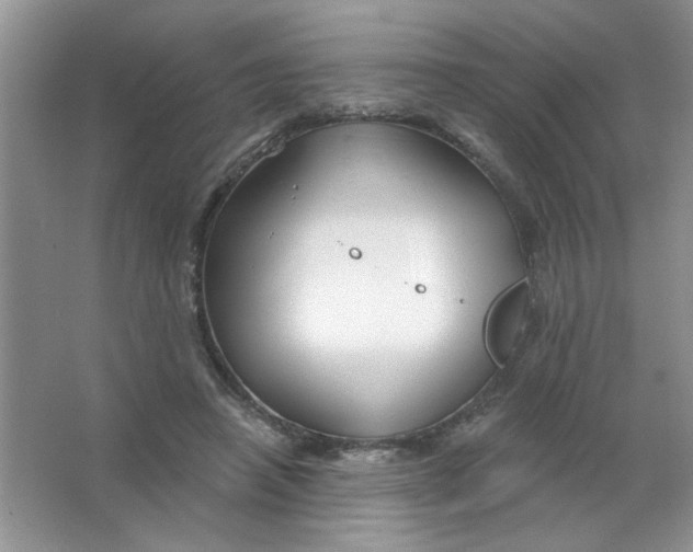 X0000063530450200602102022