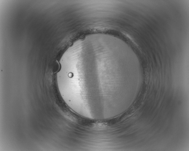 X0000063530451200602102022